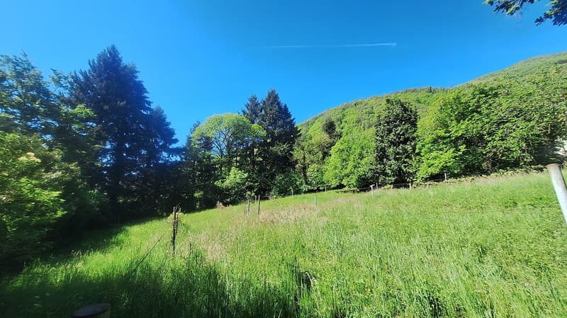 Terreno edificabile di 5'639 m² in posizione Soleggiata, Residenziale. (5)
