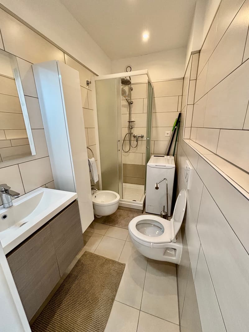 Möbliertes Studio-Apartment mit Aussicht im Herzen von Agno/ Monolocale ammobiliato con vista aperta (8)