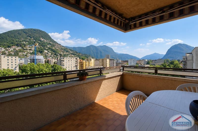 Lugano, Centrale, Luminoso, Spazioso Appartamento con due Terrazze (4)