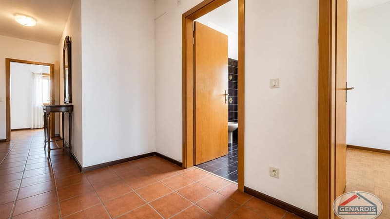 Lugano, Centrale, Luminoso, Spazioso Appartamento con due Terrazze (9)