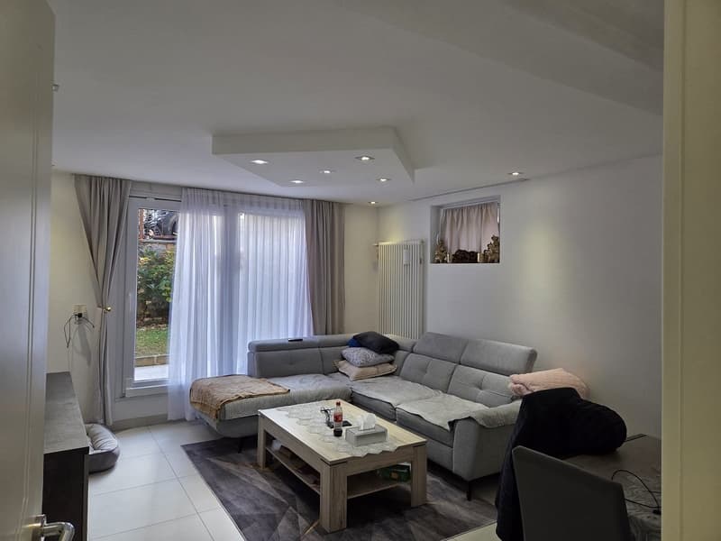 Soleggiata, Spaziosa, Casa Indipendente con due Appartamenti, loc 3,5, Terrazza, giardino (6)