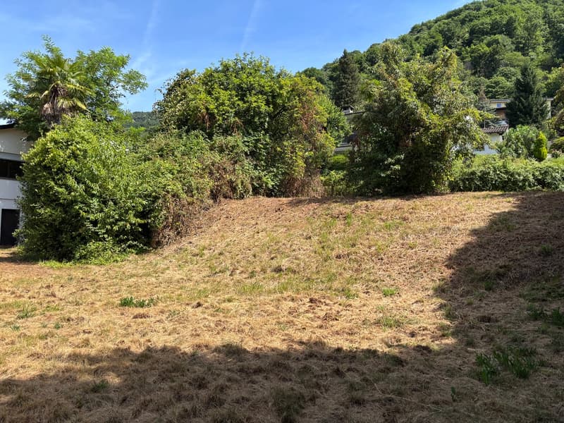 Lotto di terreno edificabile con casa in zona residenziale pianeggiante (4)