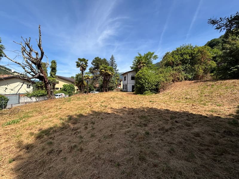 Lotto di terreno edificabile con casa in zona residenziale pianeggiante (5)