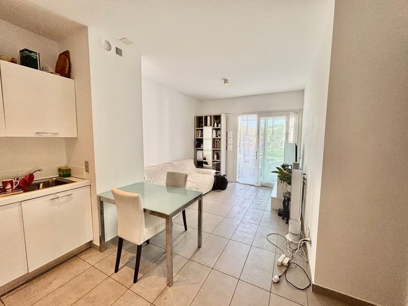 Accogliente appartamento di 3 locali con balcone e vista panoramica a Lugano (3)