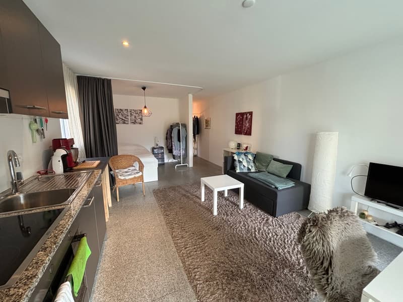 Moderno 1,5/2 locali ammobiliato con terrazzo e piscina (3)