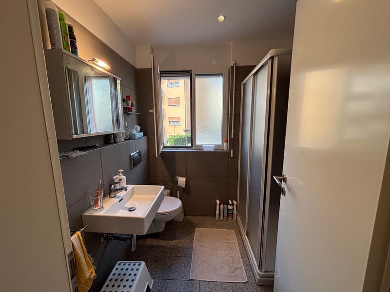 Moderno 1,5/2 locali ammobiliato con terrazzo e piscina (6)
