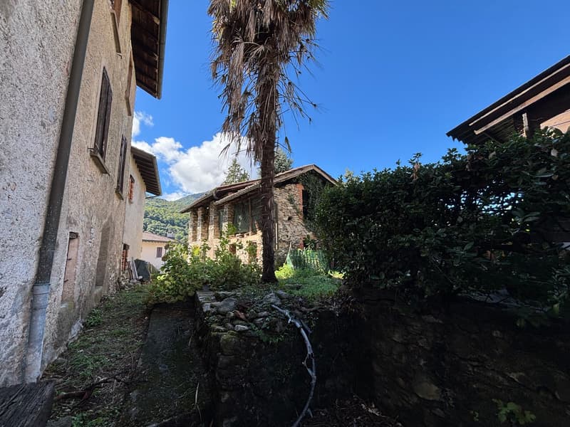 Rustico + casa antica da riattare – Un Gioiello Ticinese (5)