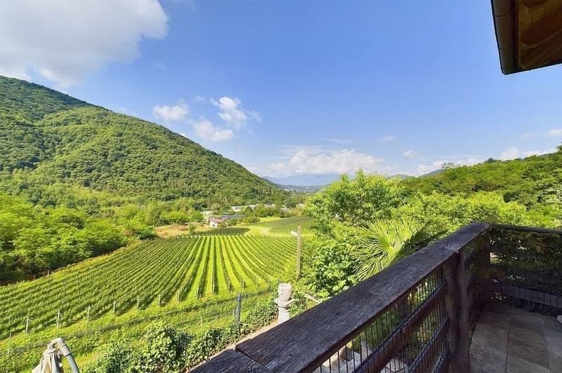 Villa di charme immersa nella natura (10)