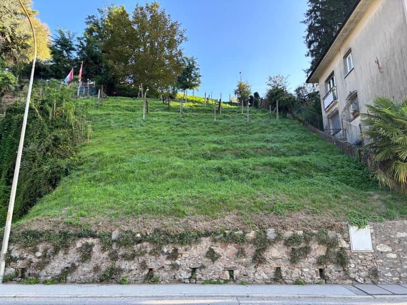 Terreno edificabile in zona servita (1)