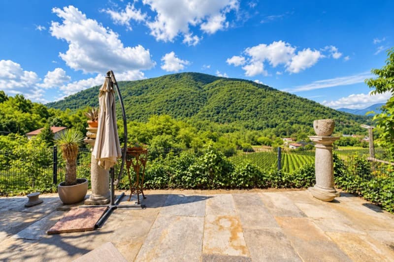 Villa di charme immersa nella natura (3)