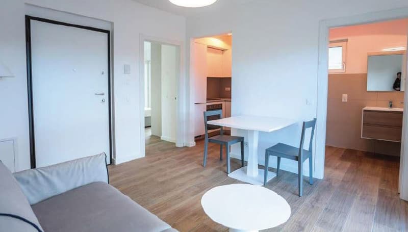 Esclusiva Residenza a Reddito, con 10 Appartamenti a Lugano - Viganello (4)