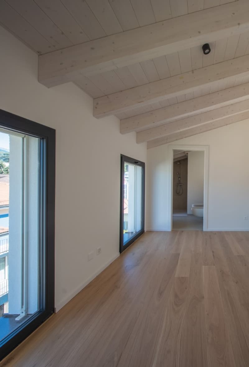 Esclusiva, Elegante Residenza di Nuova Costruzione a Massagno, con 5 Appartamenti (4)