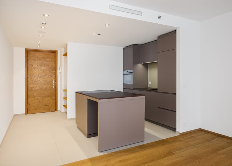 Alpine living with hotel service (6)