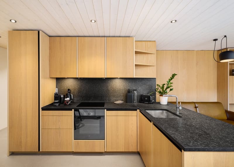 Contemporary Alpine Living at Frame (2)