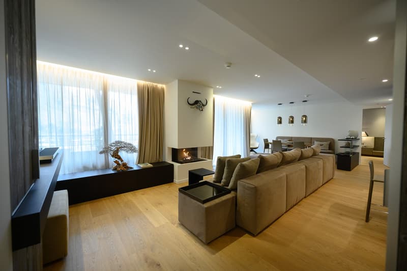 An Alpine Penthouse with a View (5)