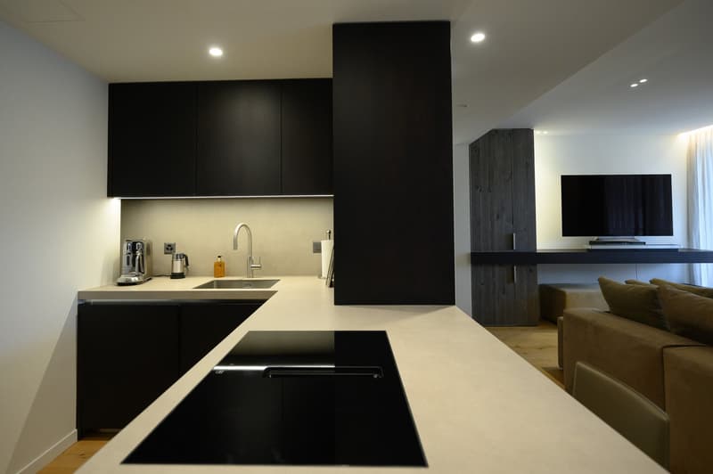 An Alpine Penthouse with a View (6)