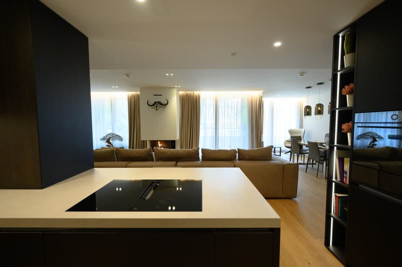 An Alpine Penthouse with a View (3)