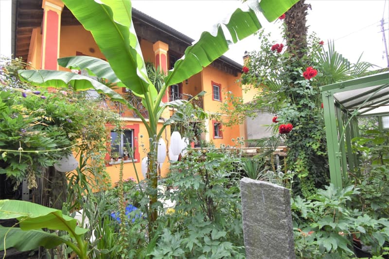 Un Tesoro Ticinese: Casa Storica con Tre Appartamenti e Giardino Botanico (1)
