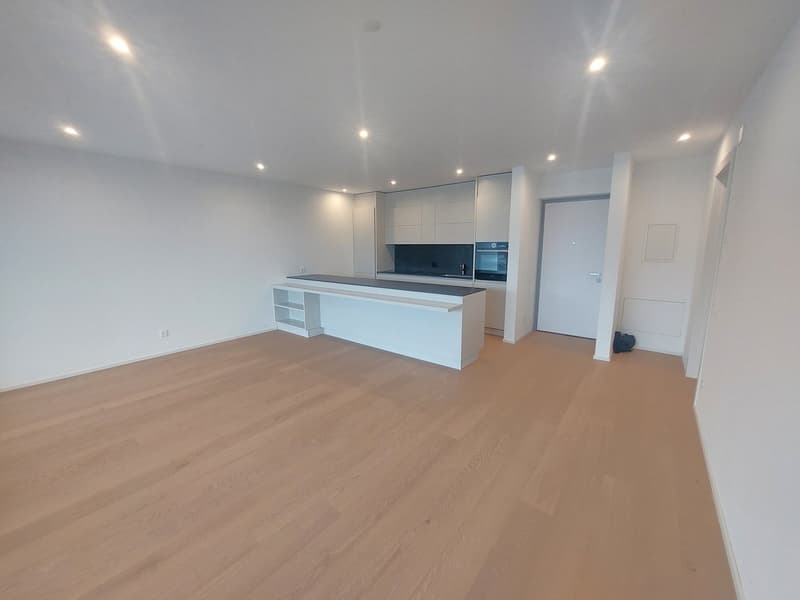 Montagnola: Lussuoso Appartamento con Vista Panoramica e Giardino Privato (7)