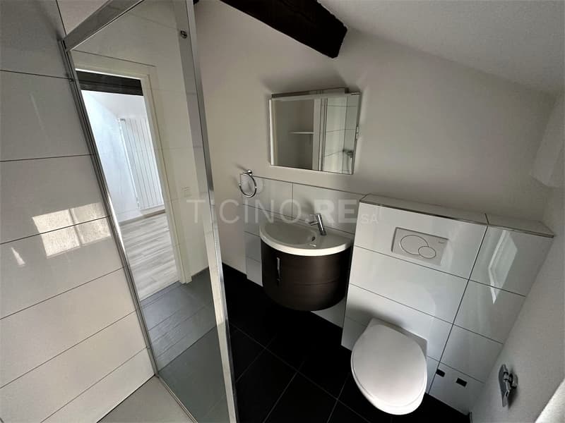 CONFORTEVOLE BILOCALE A LUGANO (7)
