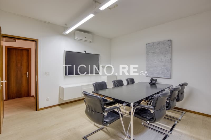 Elegante ufficio/appartamento di 4.5 locali con terrazza a due passi dal parco Ciani (7)