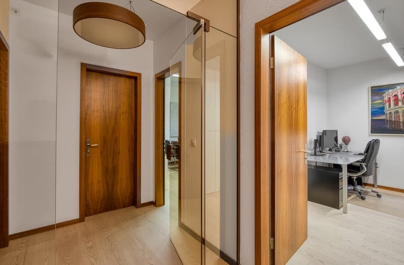 Elegante ufficio/appartamento di 4.5 locali con terrazza a due passi dal parco Ciani (6)