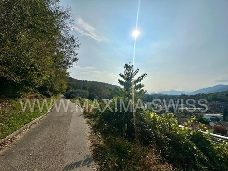 roadway with trees on both sides, mountain range in the distance, clear blue sky, single vehicle driving