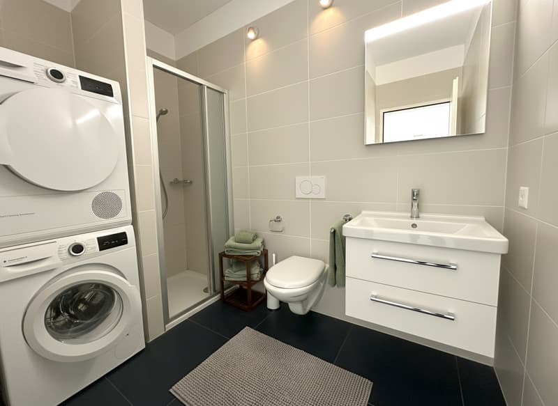QUARTIERE GERRETTA: MODERNO APPARTAMENTO CON GIARDINO (6)