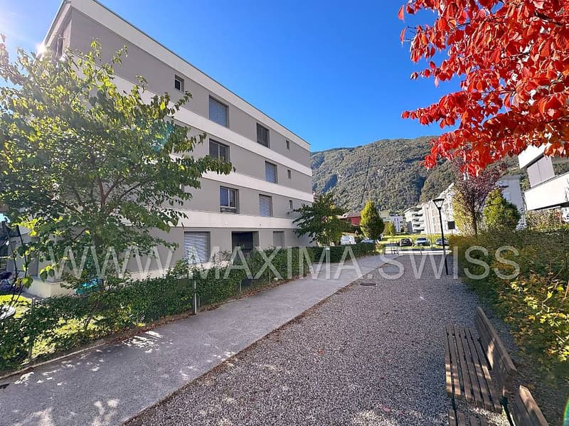 BELLINZONA PARCO GERETTA: MODERNO CON GIARDINO (11)