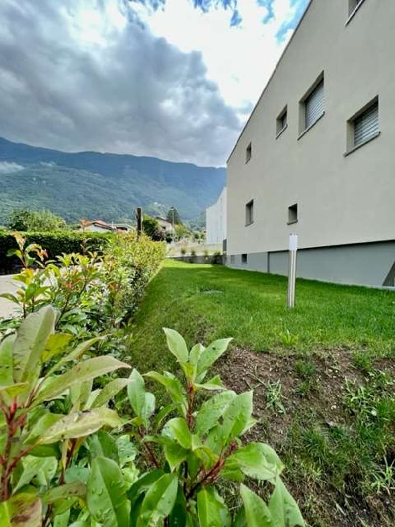 Bellissima nuova villa 3.5 locali con giardino (2)
