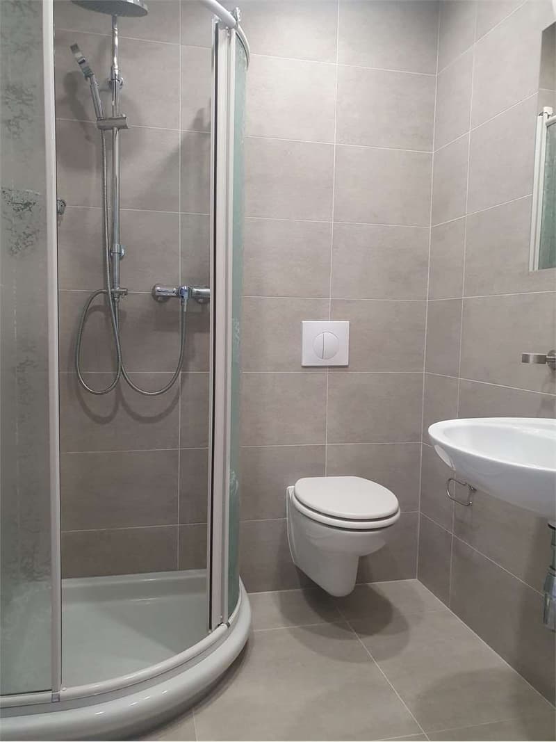 Palazzina a reddito vista lago  investimento ideale a Minusio (10)