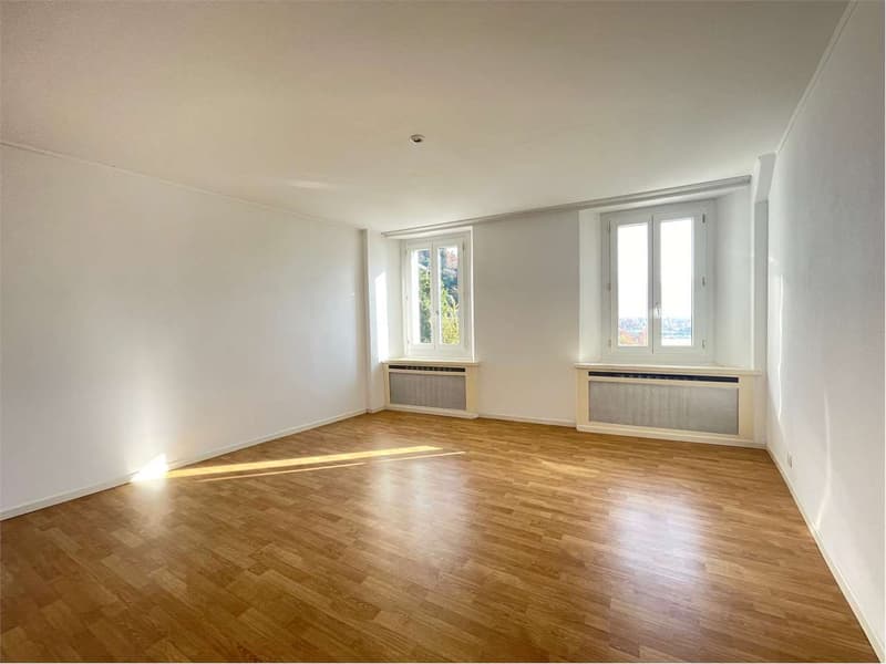 Palazzina a reddito vista lago  investimento ideale a Minusio (11)