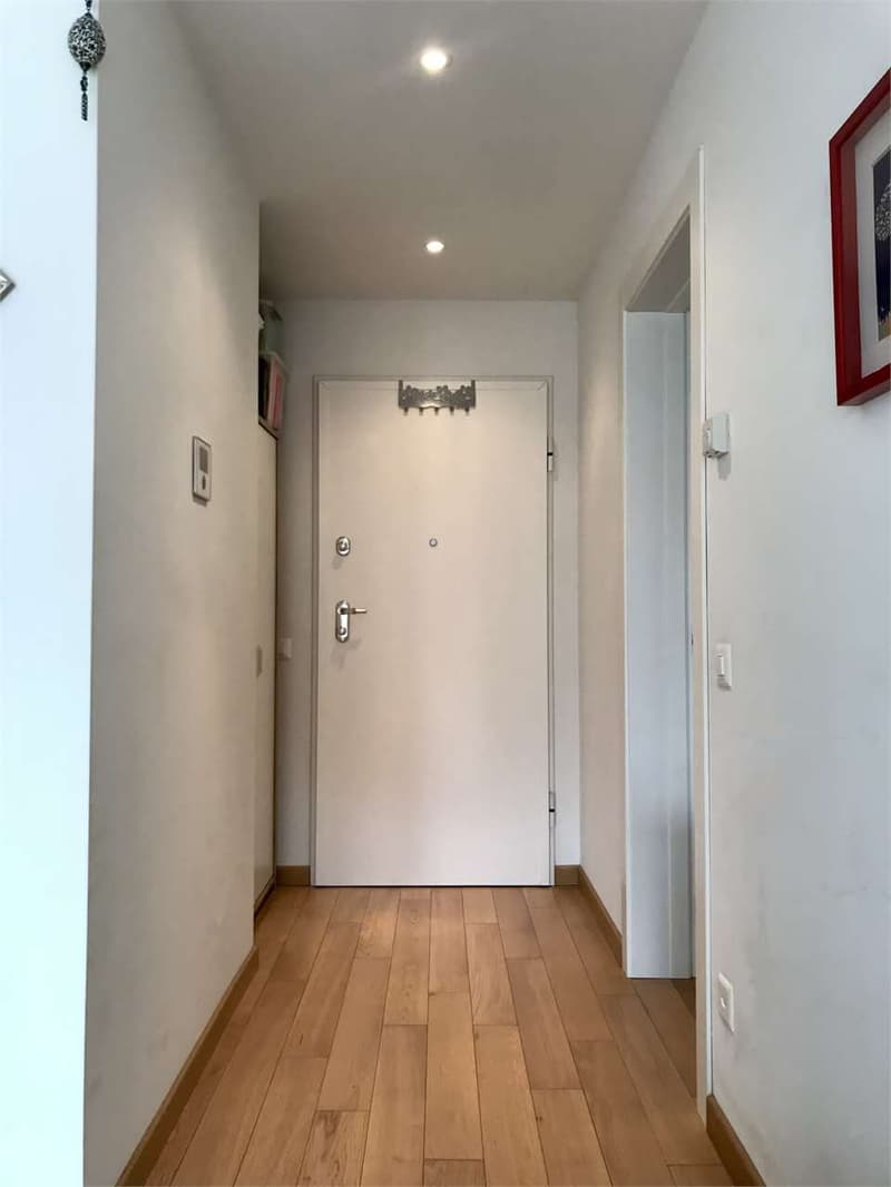 Massagno 2,5 locali  in ottima posizione (9)
