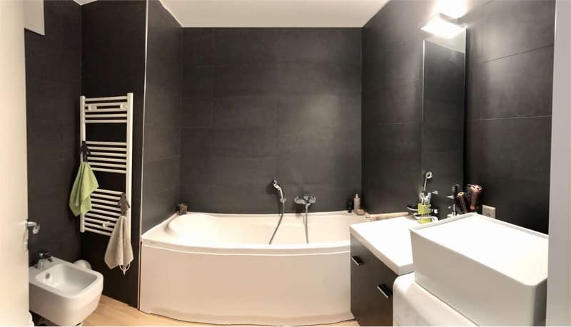 Massagno 2,5 locali  in ottima posizione (6)