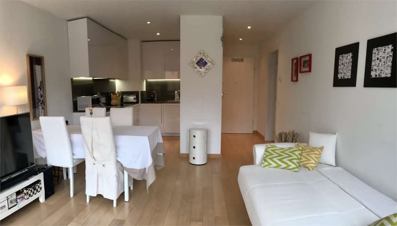 Massagno 2,5 locali  in ottima posizione (3)