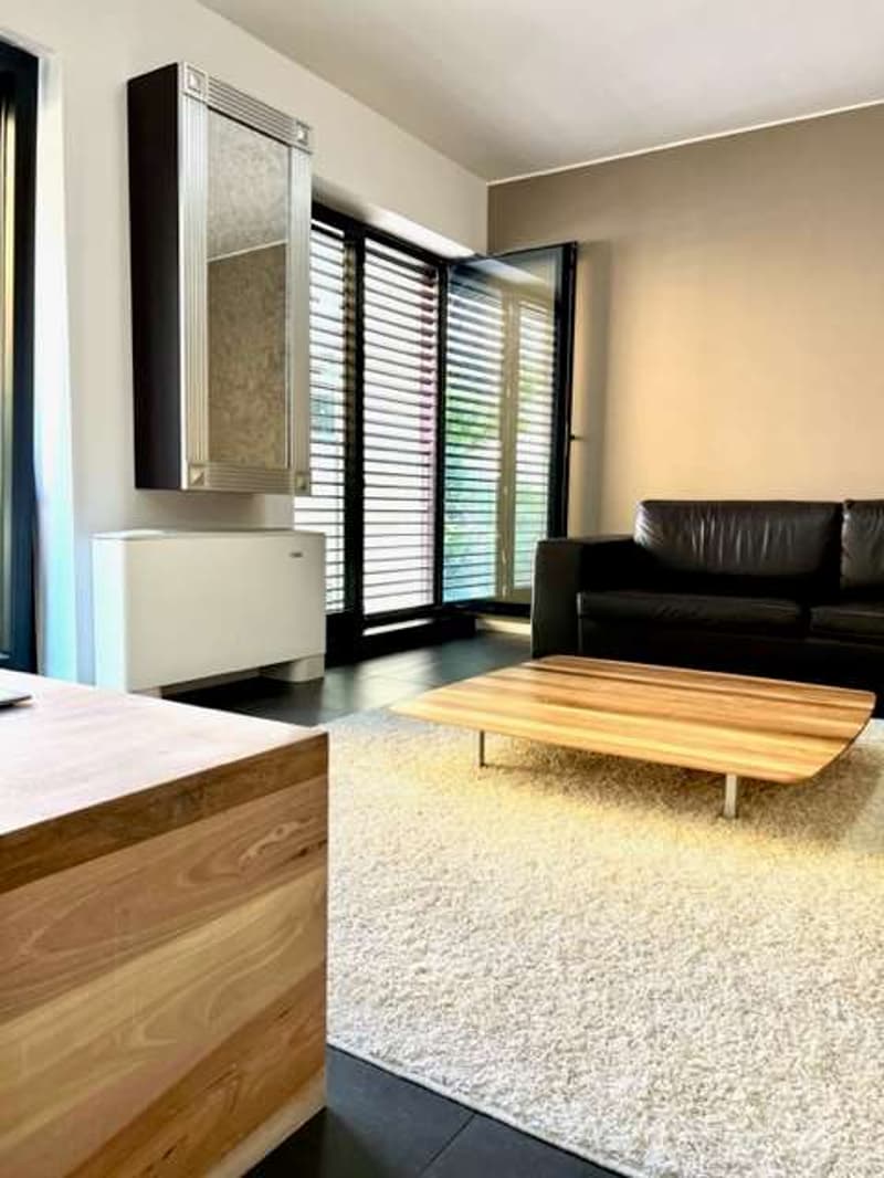Bellissimo appartamento 3,5 locali centrale (2)