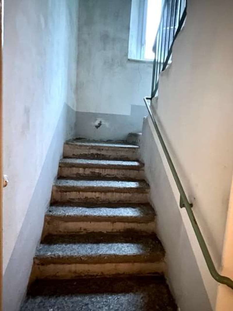 Spaziosa casa ticinese 6,5 locali con giardino (10)
