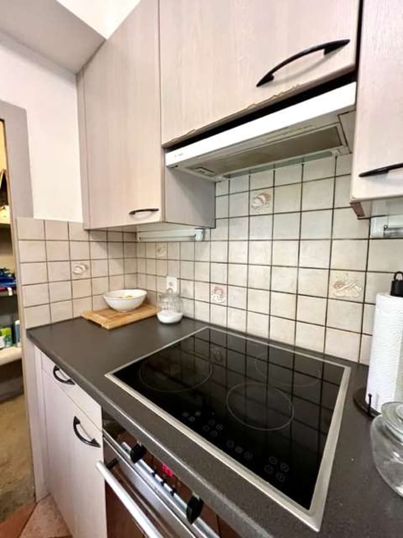 Bella casa ticinese 2,5 locali nel borgo antico (8)