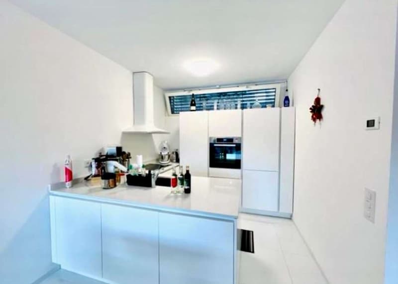 Villetta schiera nuova  con roof top e giardino privato (5)