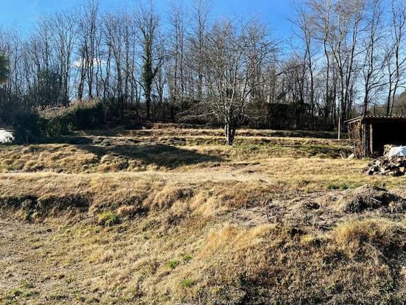 Terreno edificabile con licenza (3)