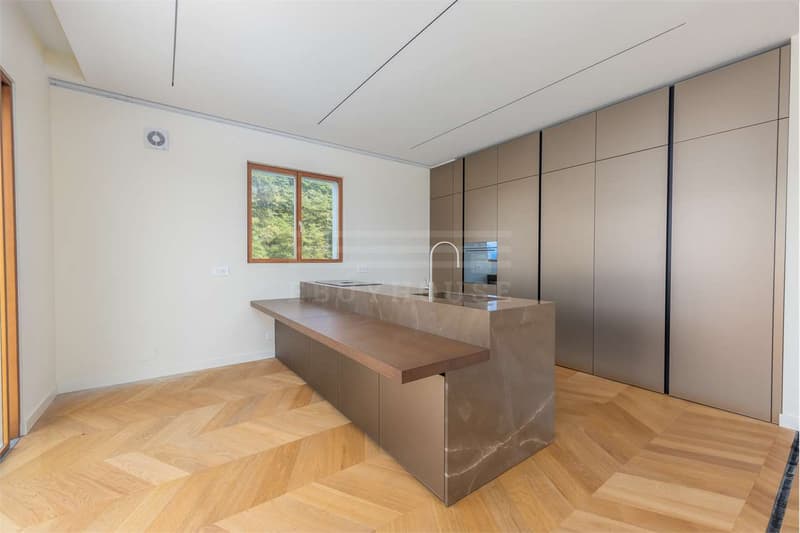 Attico di lusso a Montagnola con piscina e SPA (6)