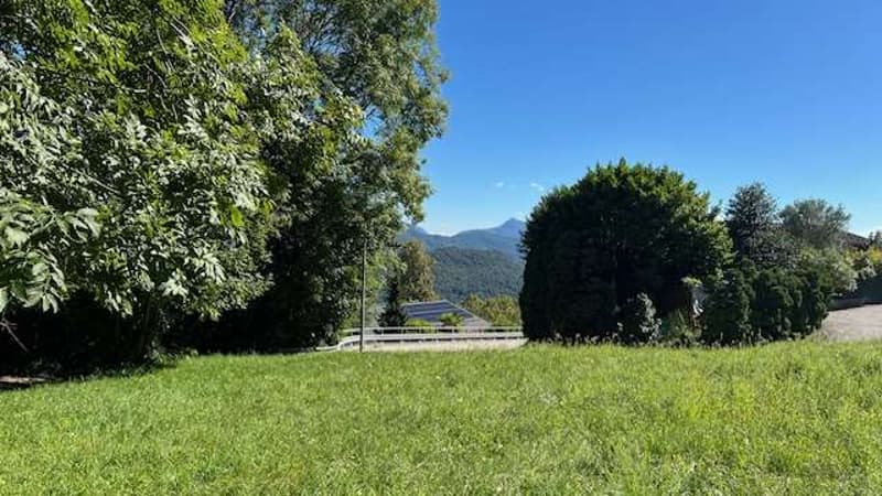 Bosco Luganese terreno edificabile vista lago (4)