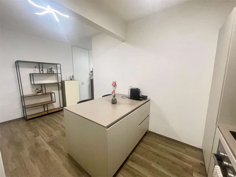Lugano opportunità di Investimento Immobiliare in posizione strategica (4)