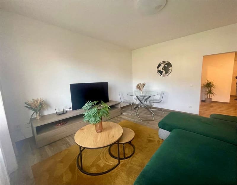 Lugano opportunità di Investimento Immobiliare in posizione strategica (2)