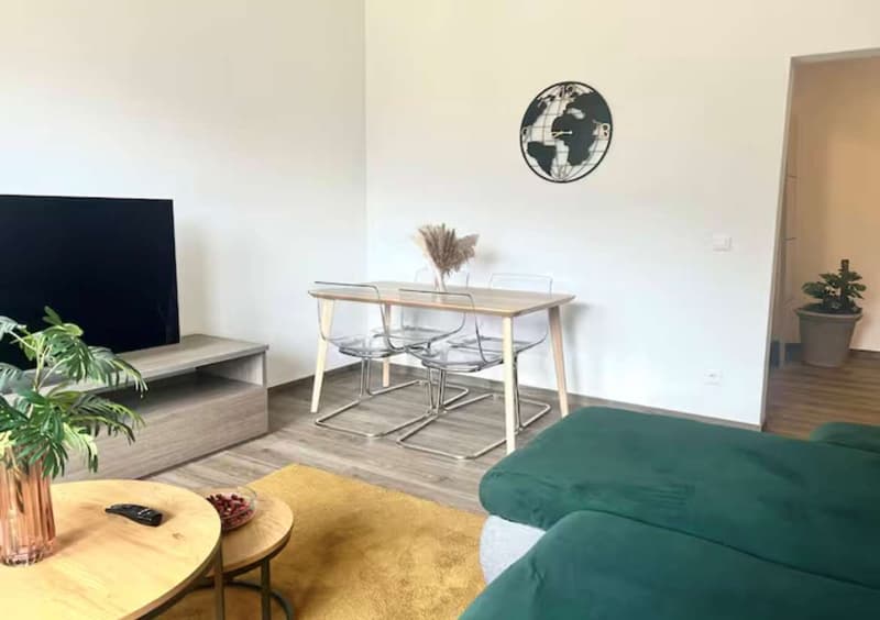 Lugano opportunità di Investimento Immobiliare in posizione strategica (13)