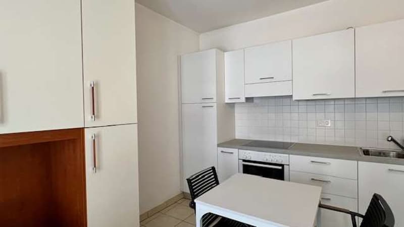 Monolocale arredato a Giubiasco con  ottimo rendimento (3)