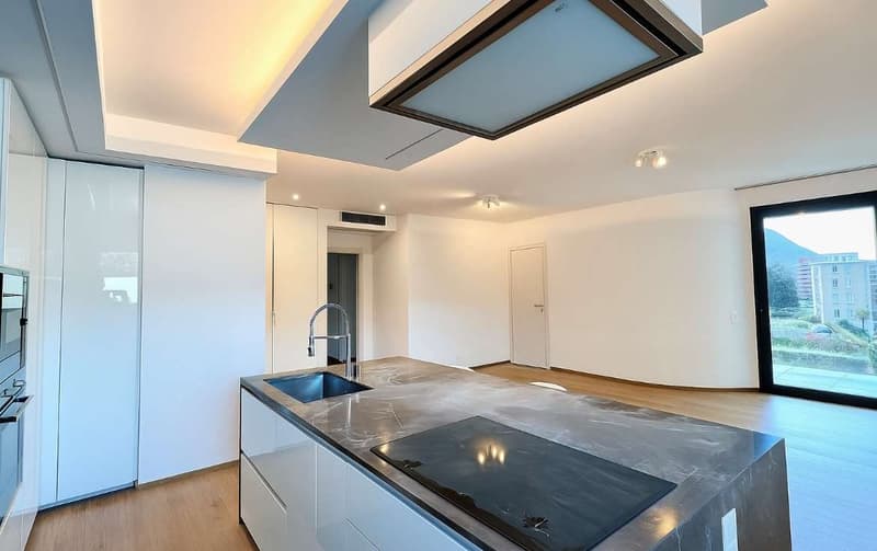 Attico esclusivo con roof top a Lugano Pregassona (2)