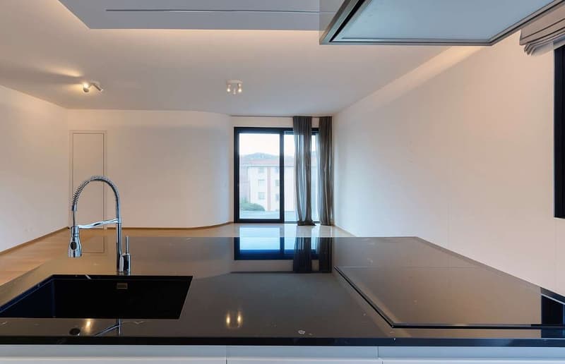 Attico esclusivo con roof top a Lugano Pregassona (4)