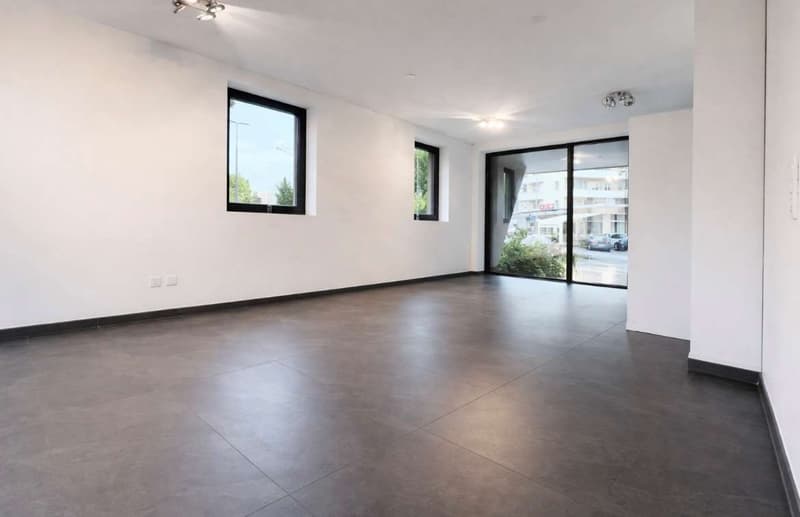 Elegante locale commerciale ufficio  a Lugano Massagno (4)
