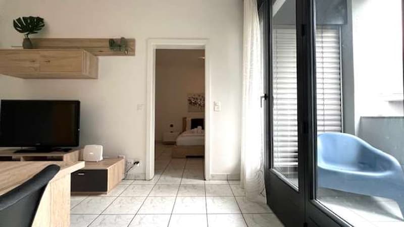 Appartamento luminoso con grande terrazza coperta e potenziale due uni (2)